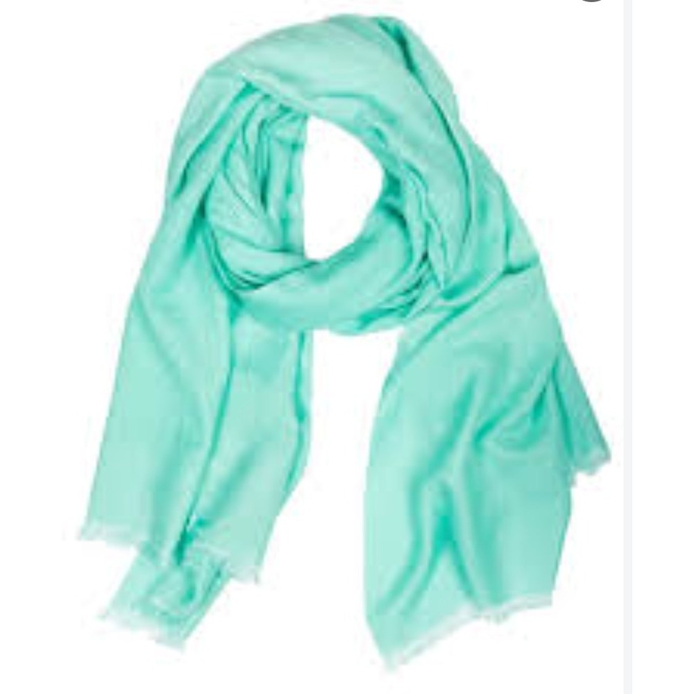 Saachi Mint Green Eyelash Fringe Wrap Scarf Pashmina Nordstrom Rack NEW